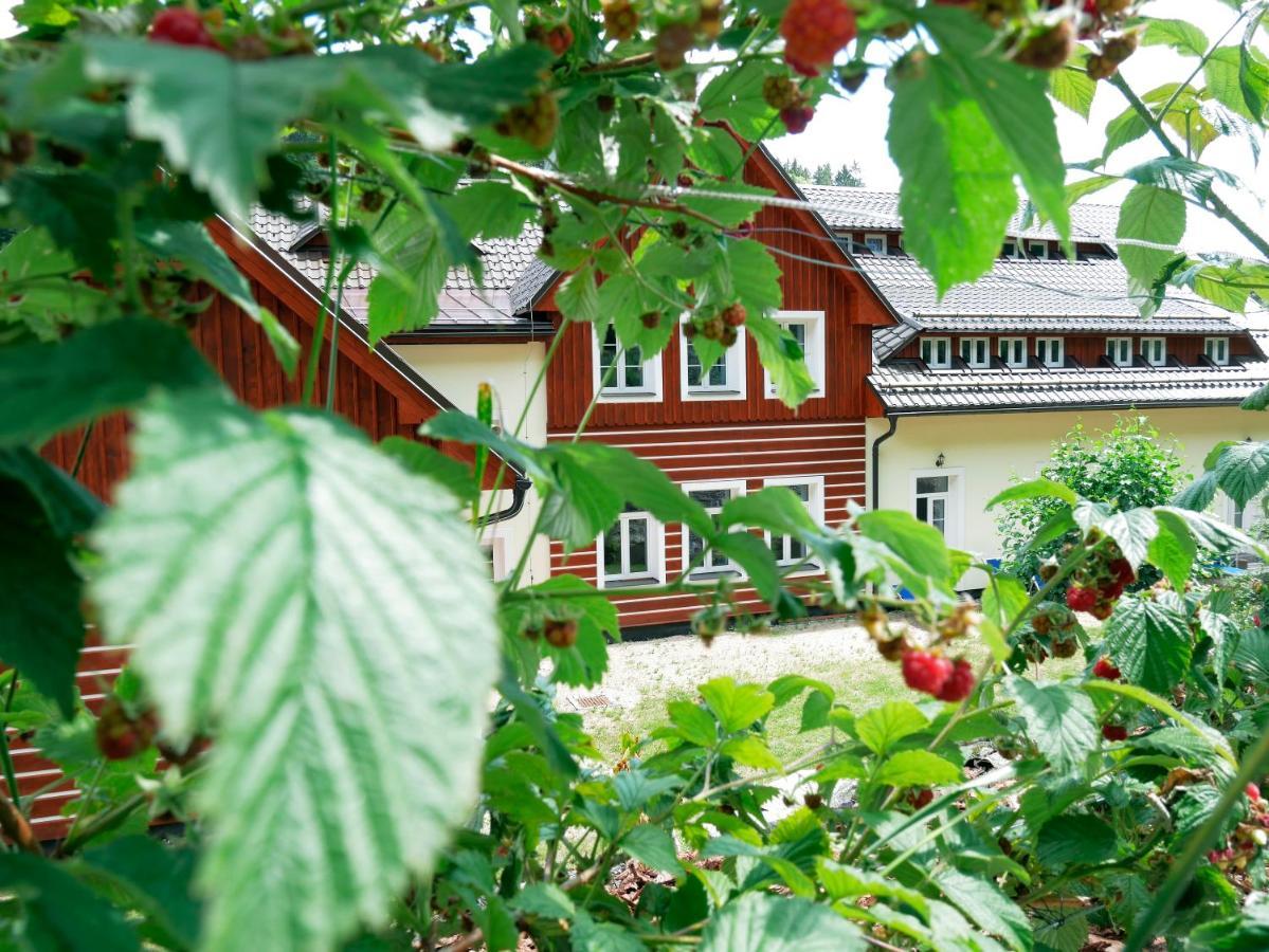 Apartmany Pod Marianskymi Schody Albrechtice w Górach Izerskich Zewnętrze zdjęcie